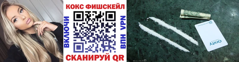 Купить закладки  Киселёвск  Кокаин FishScale 