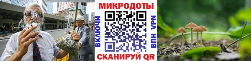 Псилоцибиновые грибы мицелий  Купить закладки  Киселёвск 